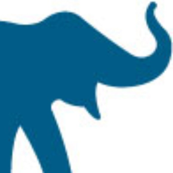 pachydermnyc